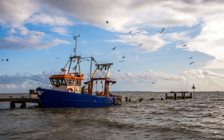 'Spatial conflict': Study proposes guidelines for compensating fishermen impacted by offshore wind development