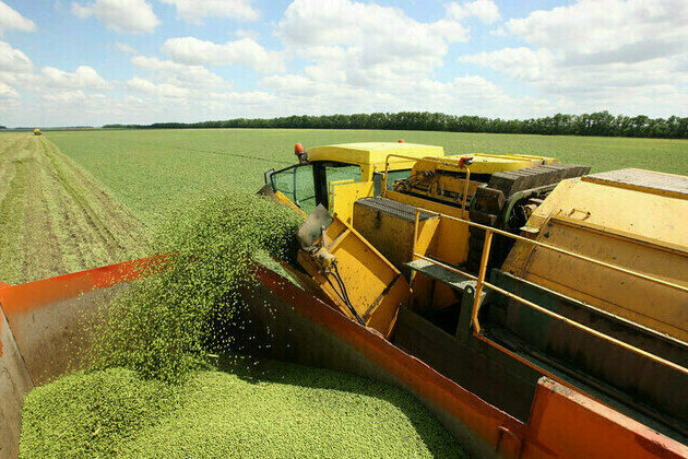 Russia boosting Africa support with new food shipments  media