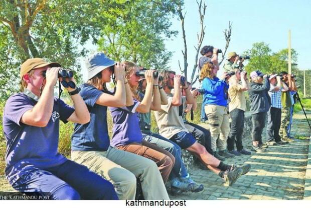 Australian birder follows birds from Australia to Nepal