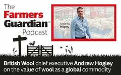 The Farmers Guardian Podcast: The survival of British wool - 'Consumers and retailers need to understand the value of wool as a global commodity'