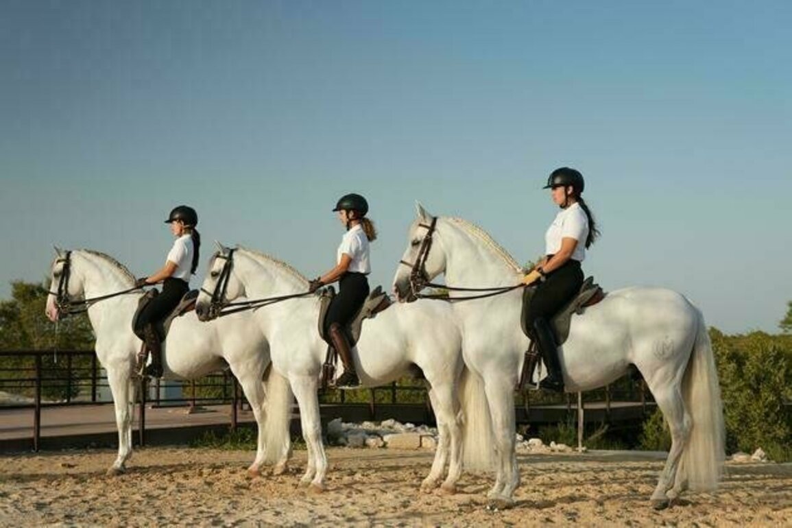 Abu Dhabi Royal Equestrian Arts to join leading schools of classical horsemanship in opening ceremony