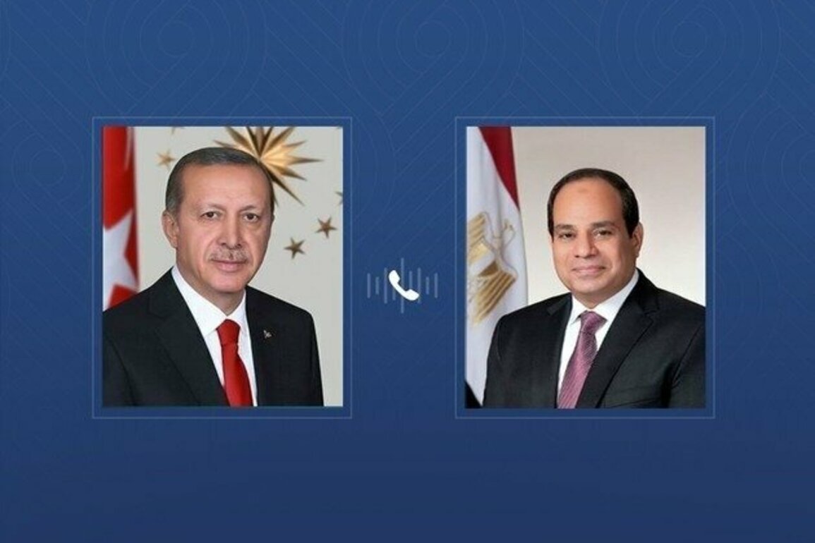 Egyptian, Turkish Presidents warn against Middle East sliding into widespread chaos