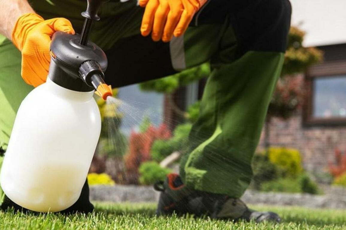 Top crabgrass killers for a lush, green lawn  Sun Sentinel