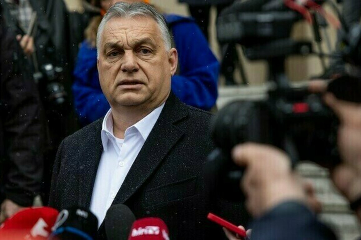 No Ukraine in EU without Budapests approval  Orban
