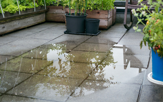 'Largely overlooked': Gardens proving a contributor to escalating flood risks
