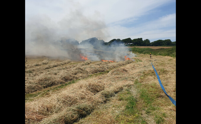 Weymouth and Portland police said the fire was started on Friday (June 9) at 1.35pm near the Lorton Meadows Conservation Centre and Nature Reserve