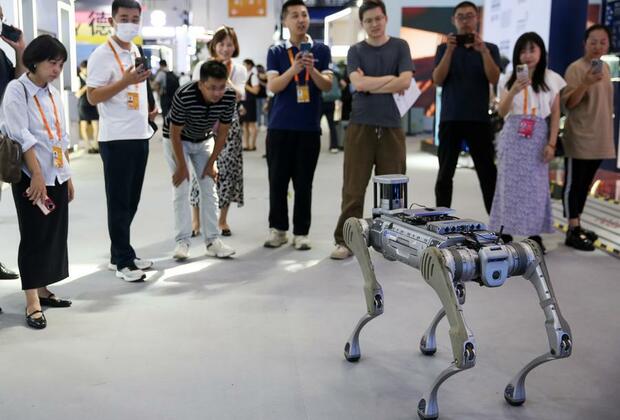 Robotic dogs patrol Beijing park