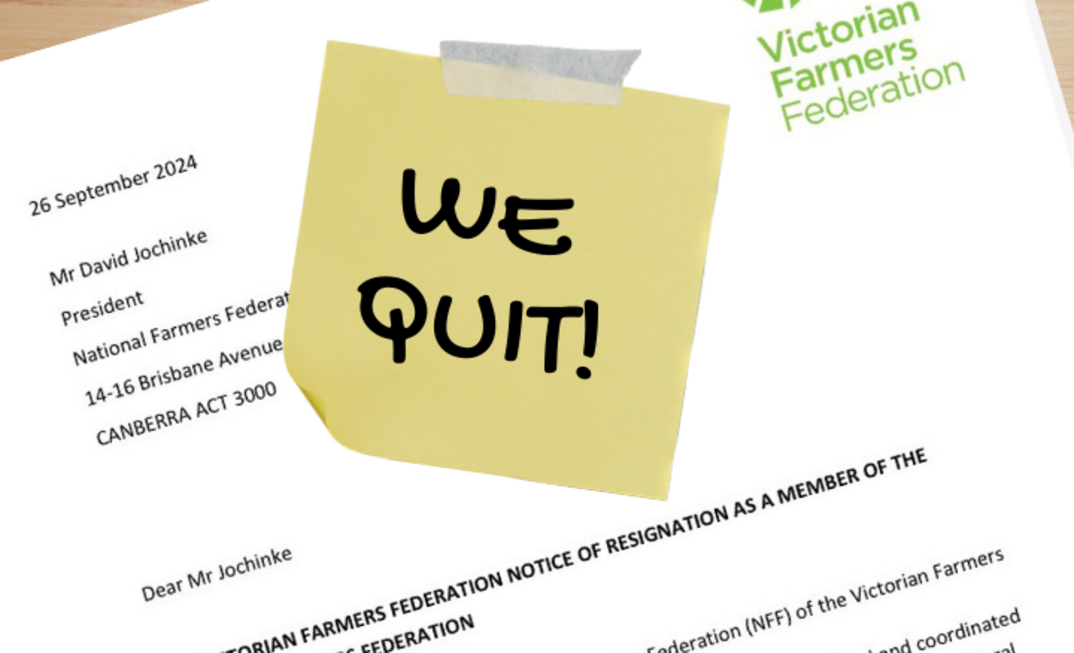 VFF has handed its notice of resignation to the NFF. Image: Jenna Santos.