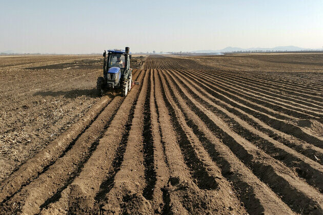 World Soil Day: Sampling of the 3rd national soil survey completed