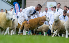 Suffolk steals the show at the Royal Welsh