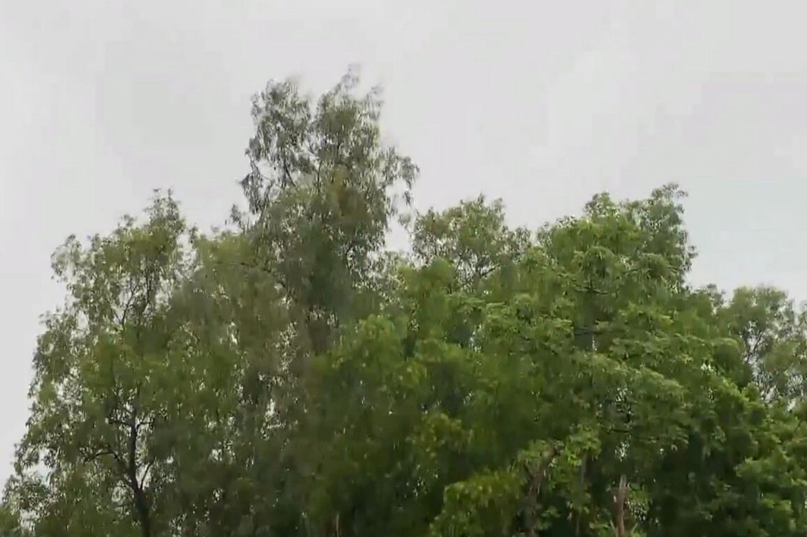West Bengal's Birbhum receives early morning rain