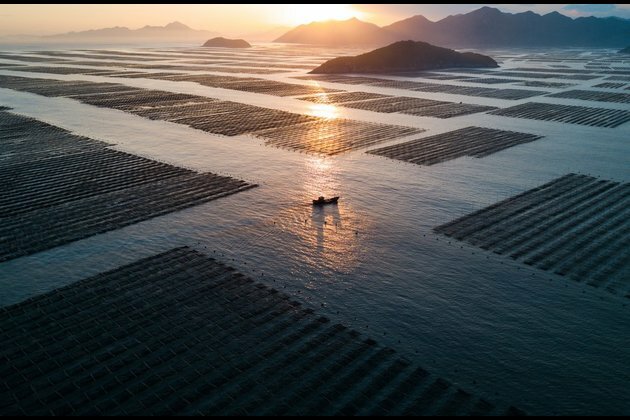 Xinhua Photos of the Day (Nov. 27)