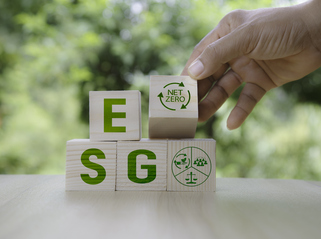 ESG investment not a priority for majority of scheme members