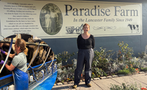 Woman raises over £5000 for RABI after milking 10,000 cows in ten days