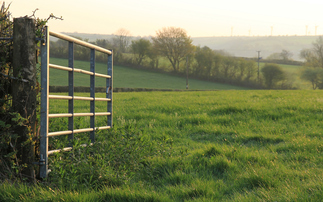 Crown Estate doubles nature recovery funding for farmers to £20m  