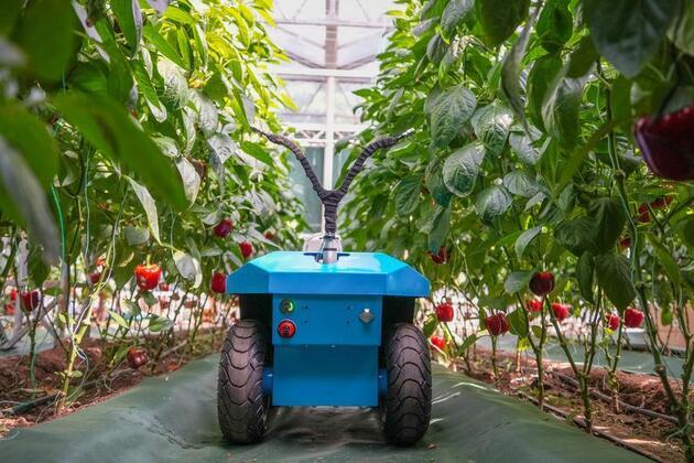 China's thriving smart agriculture goes global