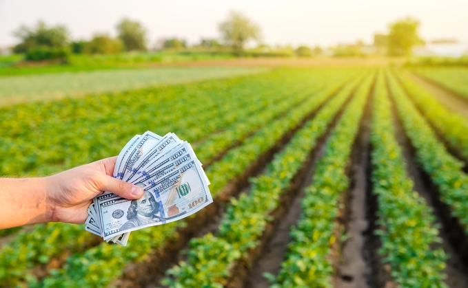 Unlocking funding for farms can help transition the agriculture sector from a carbon emiter to a carbon sink. Credit: Shutterstock/Andrii Yalanskyi