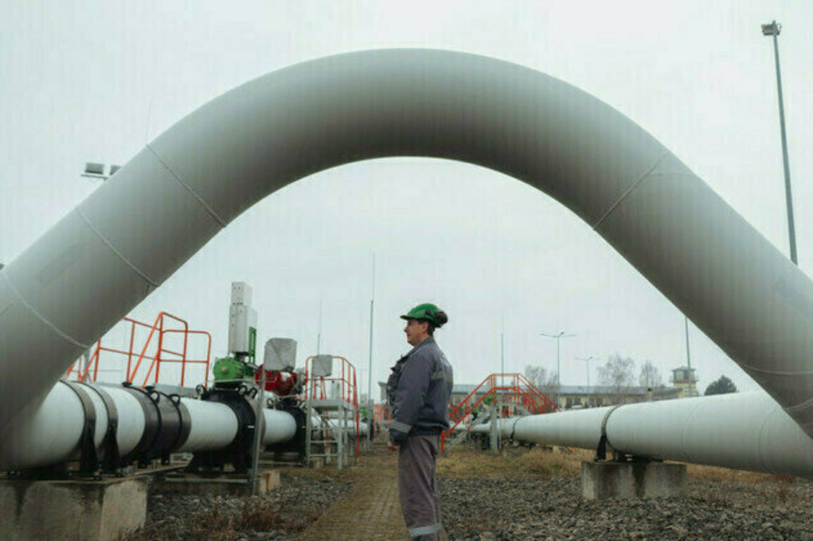 Ditching Russian gas could cost EU state 16 billion  Reuters