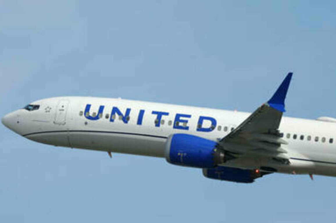 Passenger plane hit by suspected 'space debris' (PHOTOS)