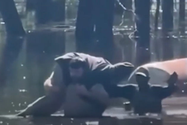 Ark. deputy caught on camera wading through chest-deep waters to save stranded couple