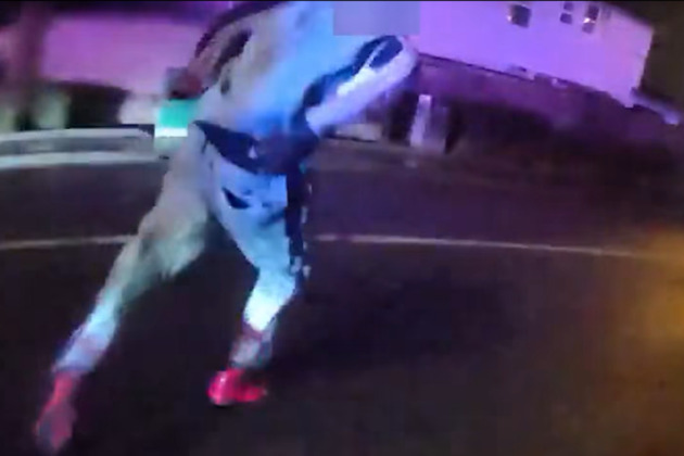 Bodycam video shows man grabs handgun while attempting to flee traffic stop before police shooting