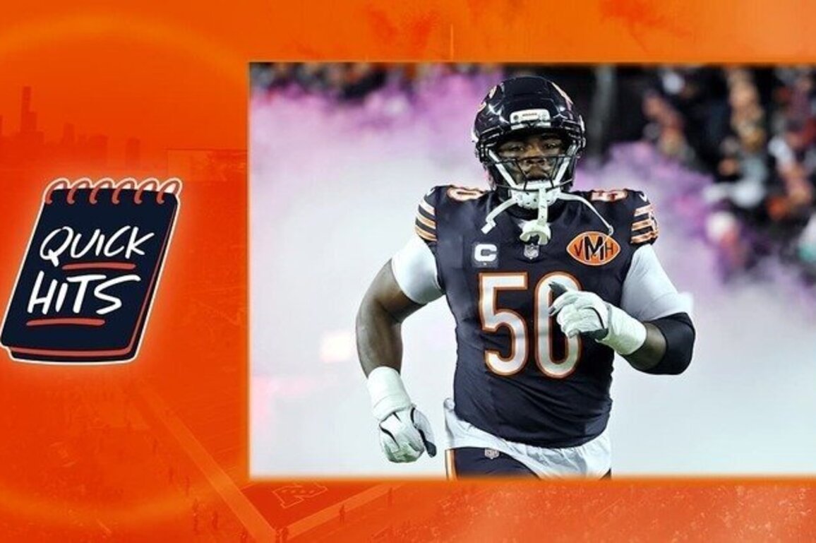 Veteran Grady Jarrett 'the glue' for Bears defense