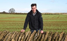 Crop walk with Chris Dickinson: Disease pressure mounts amid showers