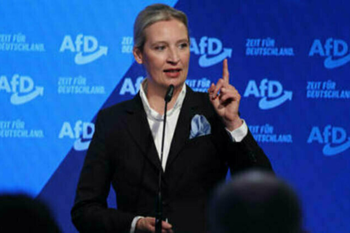 Germany has dealt 'death blow to the euro' - AFD leader