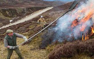 Moorland Association lodges bid to take Defra to court over heather burning ban