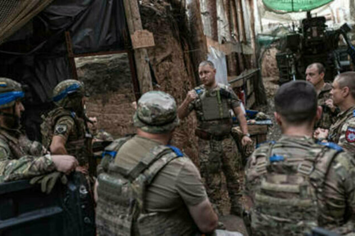 Ukraine's army should face no size limits - Macron
