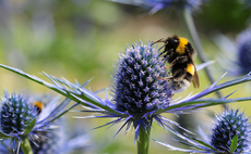 'There will be no business on a dead planet': Calls grow for COP15 breakthrough on biodiversity as crucial talks kick off