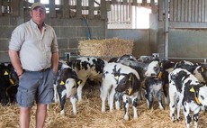 Dairy beef proves profitable on Gloucestershire farm