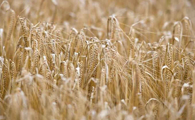 Malt manufacturer Crisp Malt has published its second annual Environmental, Social and Governance (ESG) report