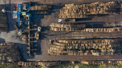 Forest Garden announces carbon-neutral first for the UK