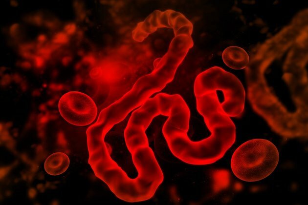 Boy dies of Ebola in Uganda as virus spreads from DRC