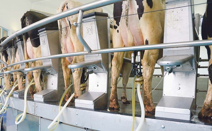 Farm labour shortages hit dairy production