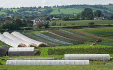 Report: Halving food imports and boosting homegrown produce could generate £1.9bn for UK farms