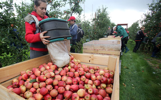 Retailers urged to back British growers as food import bill hits £10 billion