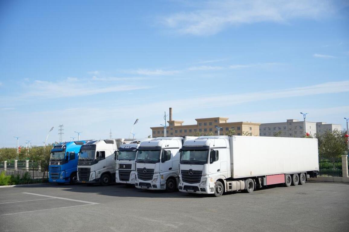 Feature: Xinjiang's e-commerce surge brings Chinese goods closer to world