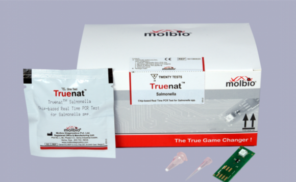 India's Molbio secures Temasek backing, becomes unicorn