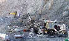 Swick at the Wattle Dam gold mine in Western Australia.