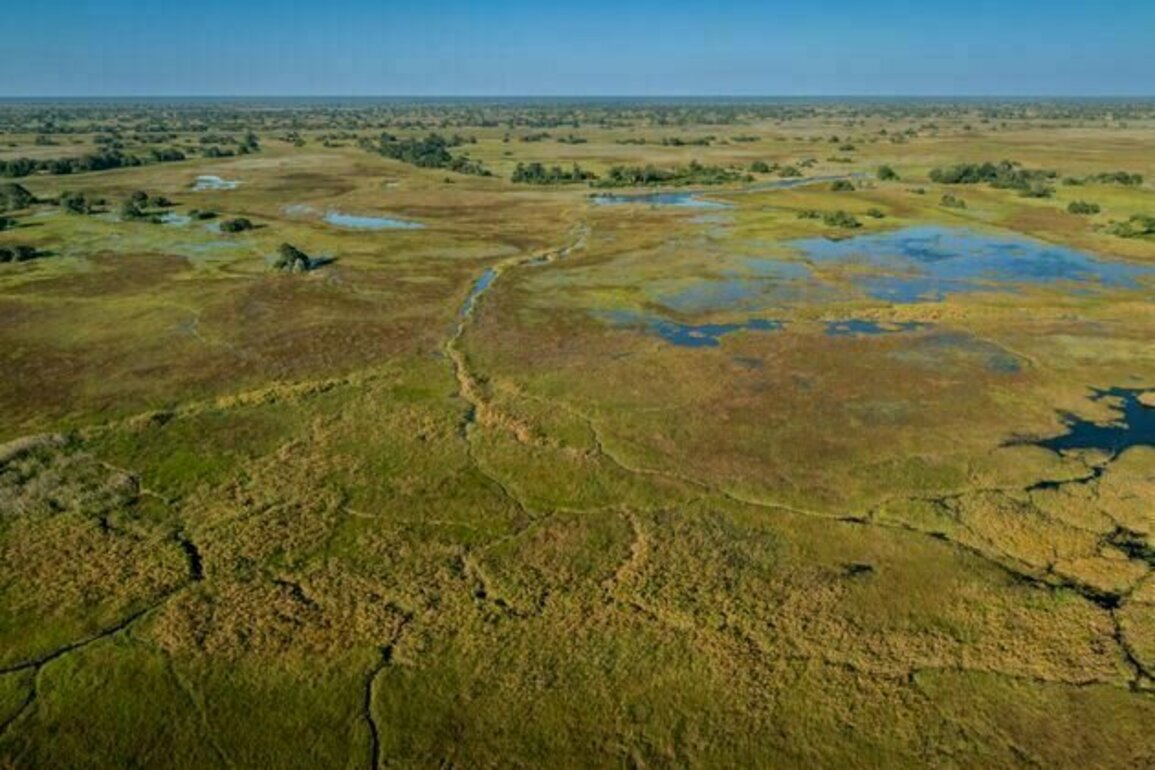 Earth's seasonal rhythms are changing, putting species and ecosystems at risk