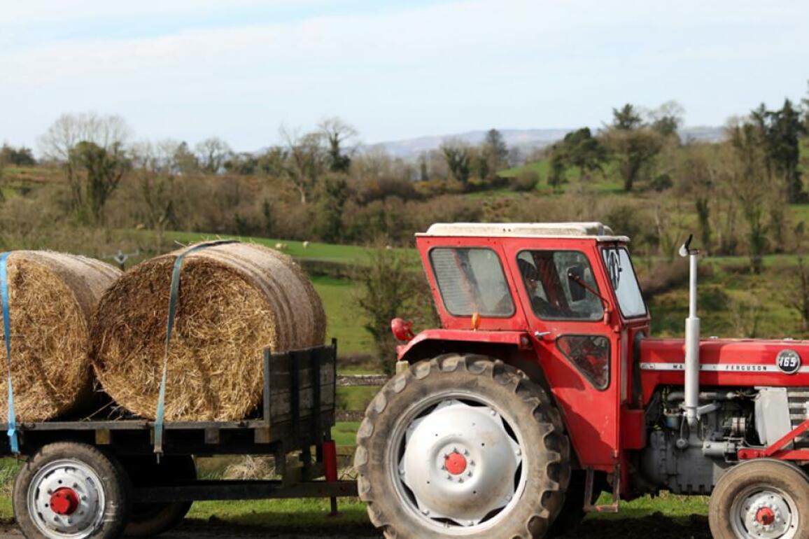 Massey Ferguson 165ly work in spell of great weather