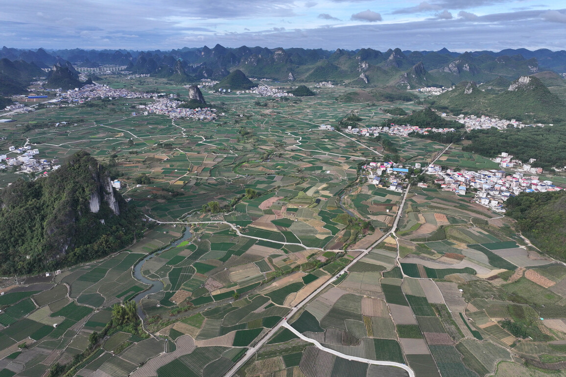 #(EnchantingGuangxi)CHINA-GUANGXI-LIUZHOU-CHIVE-INDUSTRY (CN)
