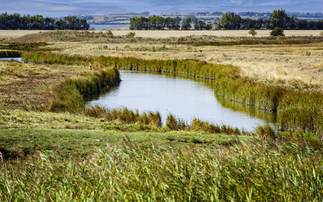 The Swale National Nature Reserve on the Isle of Sheppey in Kent, England | Credit: iStock