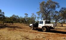 Red Fox has been active in Queensland for a decade