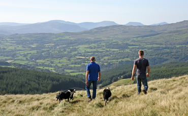 Partner Insight: New four year plan set out for the Welsh red meat industry