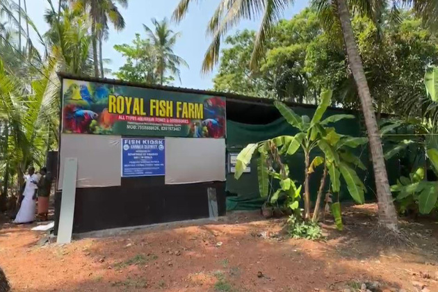 Kerala: Pet fish, including Red Spot Severum and Koi carp stolen from Royal Fish Farm in Kannur's Chalad area