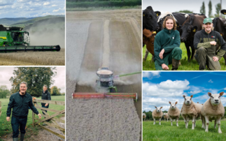 This week's 5 top farming stories