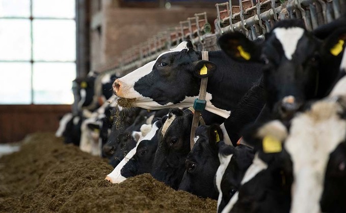 Farmers warned against feeding spoiled silage to cattle